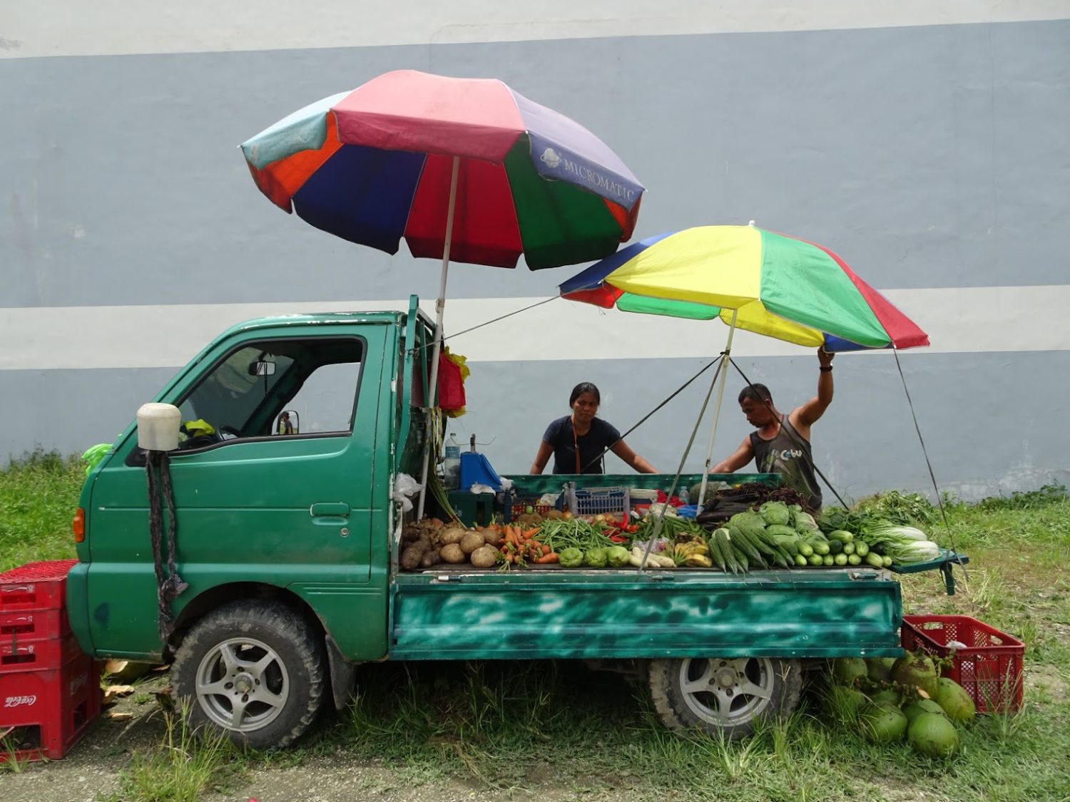 実はすごい 空心菜のヒミツ 誰でもヒーロー