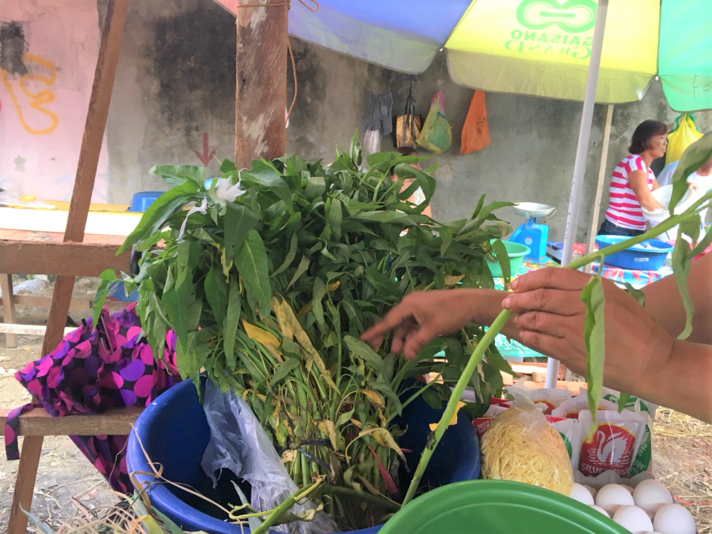 実はすごい 空心菜のヒミツ 誰でもヒーロー